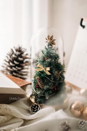Sweet Noel  永生花聖誕樹盅 S
