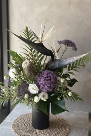 一飛沖天 | 大盆花