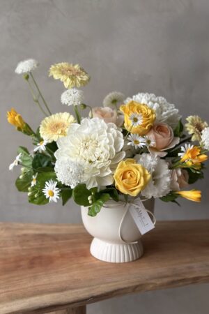 陽光燦爛 ｜ 中型盆花