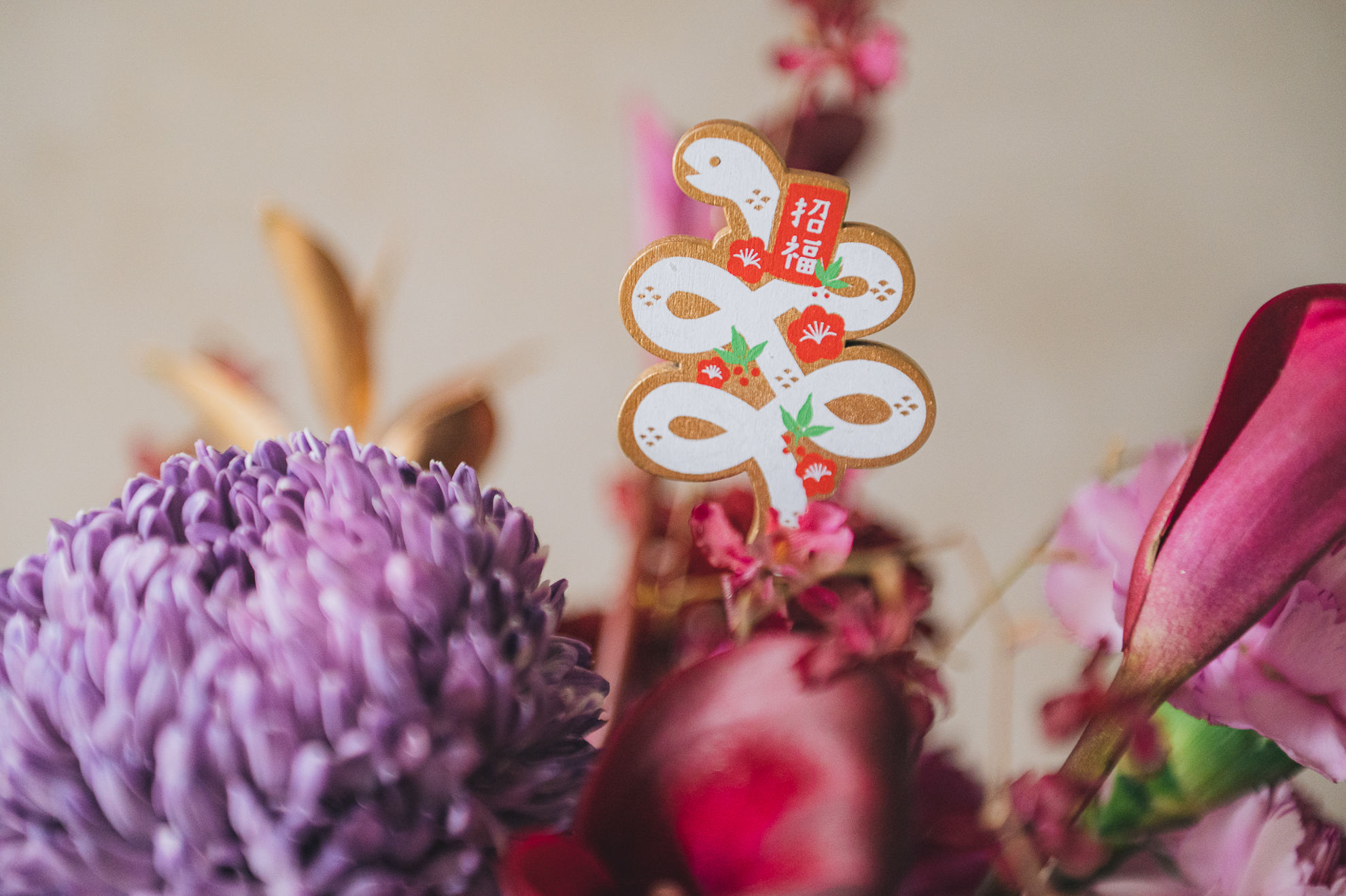 紫雲高照 M 盆花 5 紫雲高照 M 盆花:圖片 5