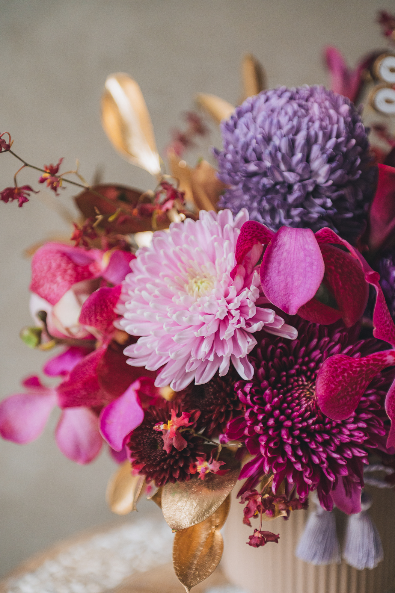 紫雲高照 M 盆花 3 紫雲高照 M 盆花:圖片 3