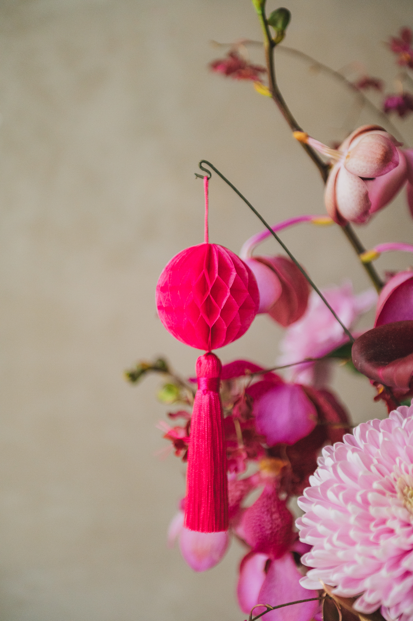 紫雲高照 L 盆花 5 紫雲高照 L 盆花:圖片 5