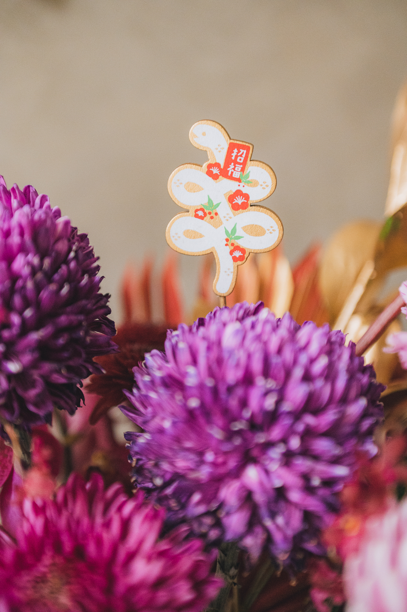 紫雲高照 L 盆花 4 紫雲高照 L 盆花:圖片 4