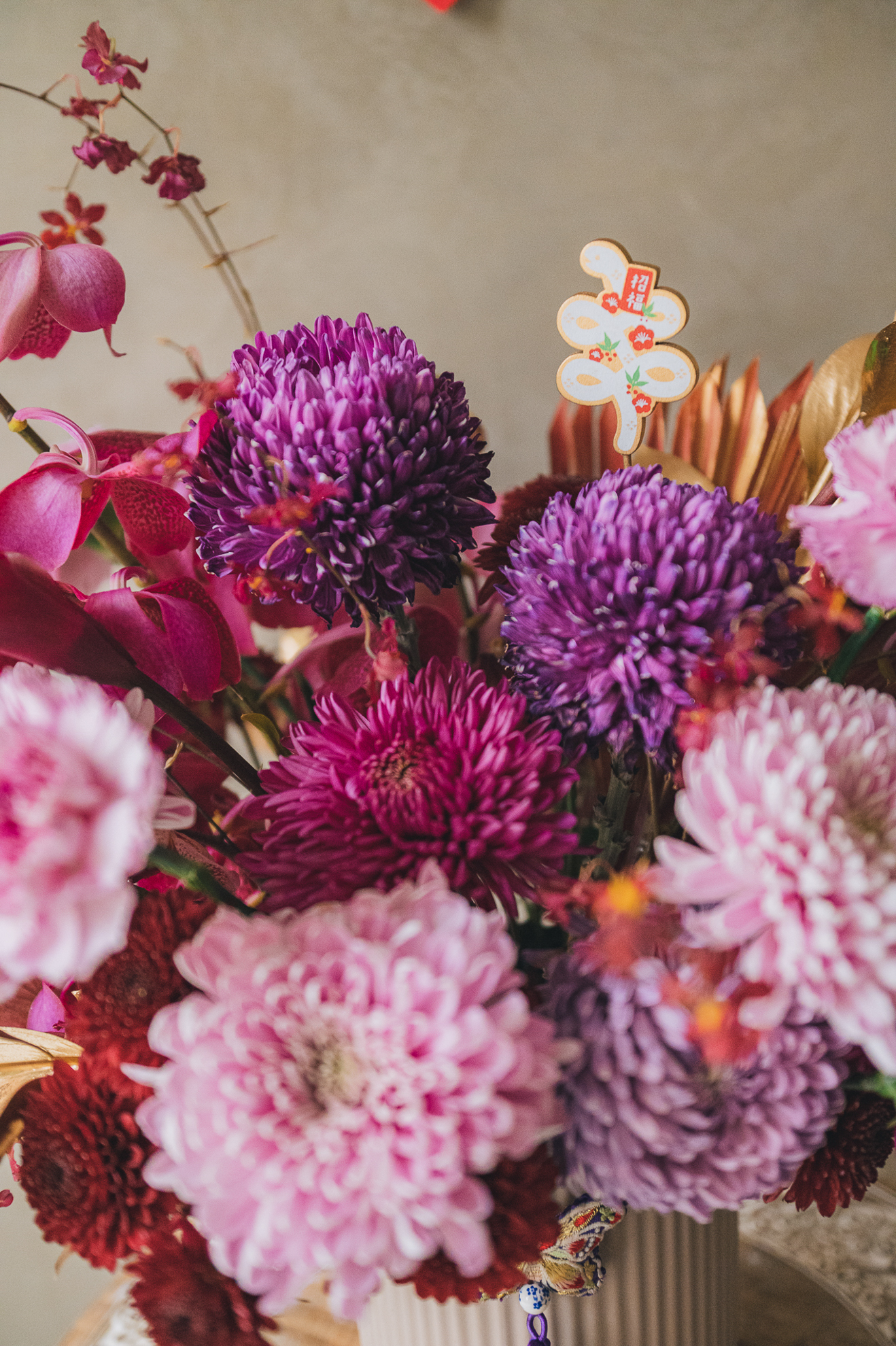 紫雲高照 L 盆花 3 紫雲高照 L 盆花:圖片 3