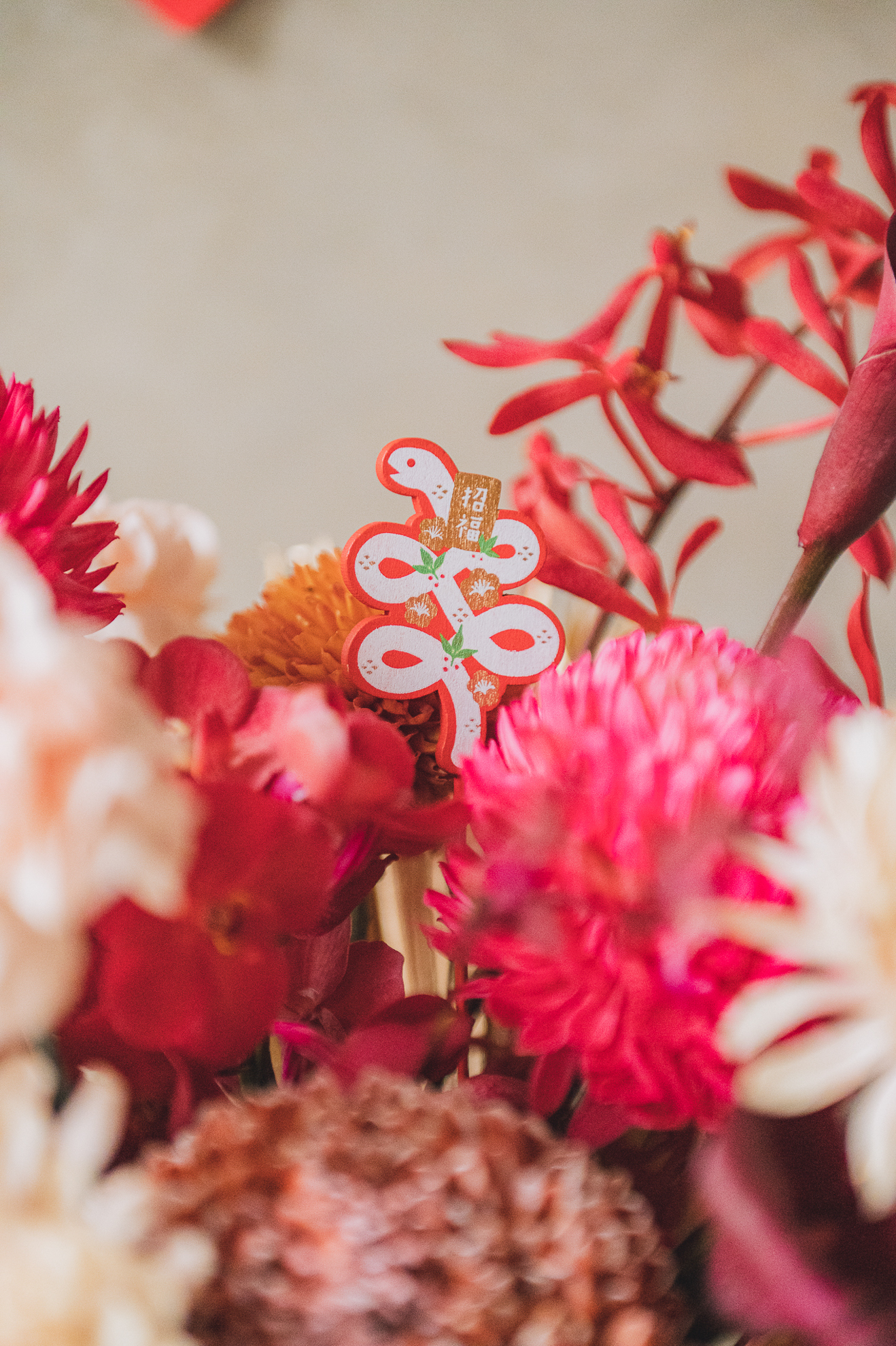 |桃陽春滿| L 盆花 4 |桃陽春滿| L 盆花:圖片 4