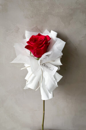 ｜經典花禮｜單朵厄瓜多進口玫瑰花