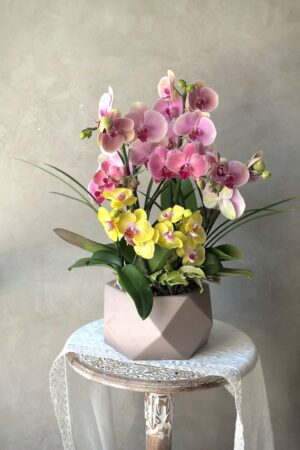 粉金之悅｜蝴蝶蘭花藝擺設
